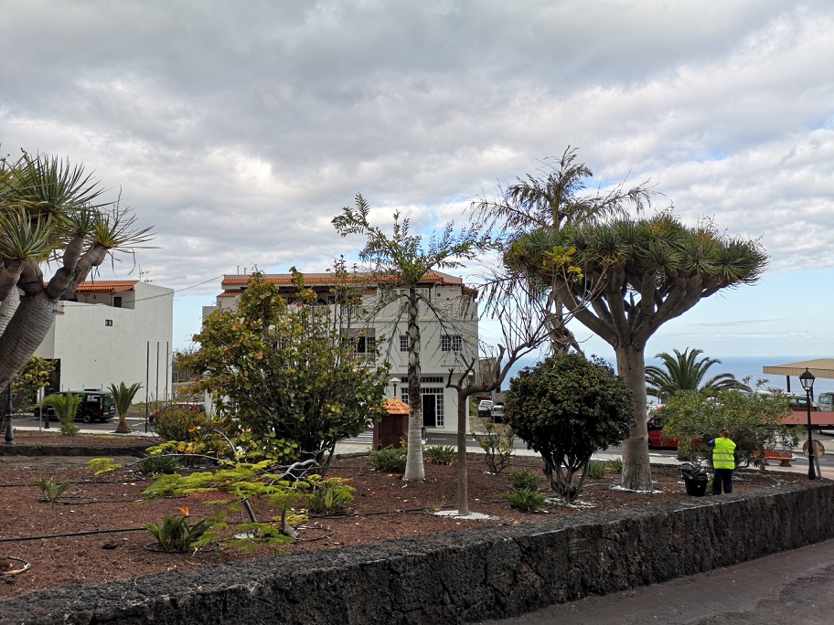 La Frontera abre el plazo de solicitud para una nueva convocatoria del Plan de Empleo Social